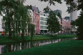 Picture of a Rotterdam street in front of a river surrounded by greenery