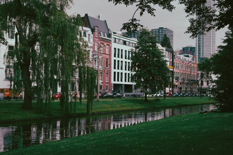 Picture of a Rotterdam street in front of a river surrounded by greenery