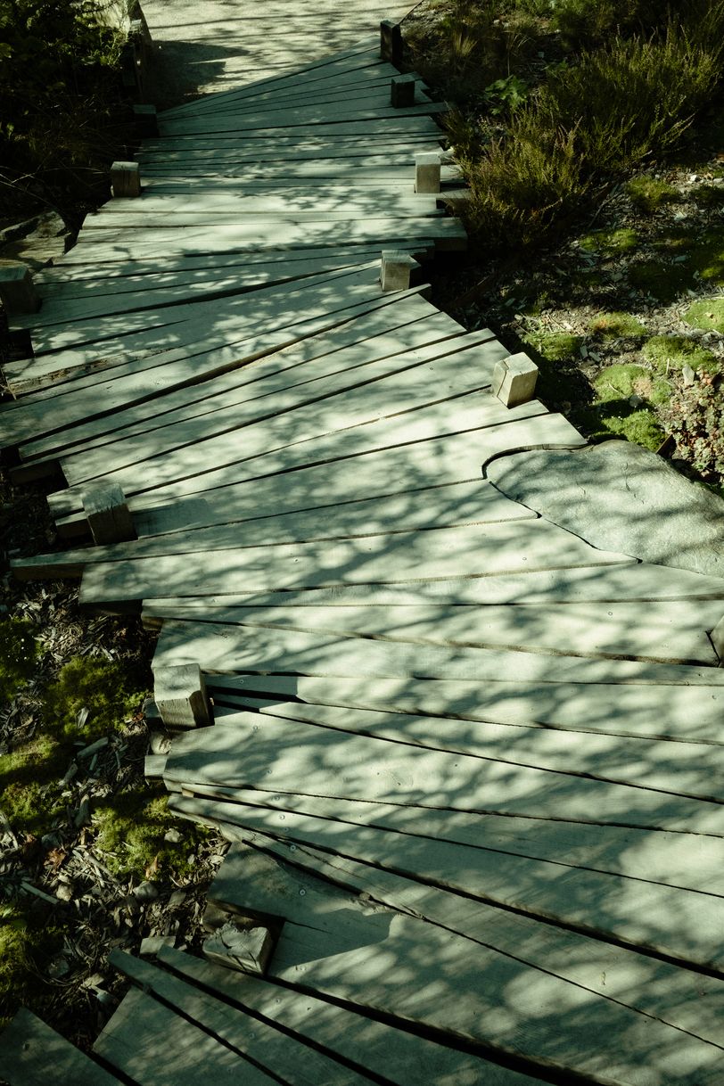 A well formed path made of wood plank