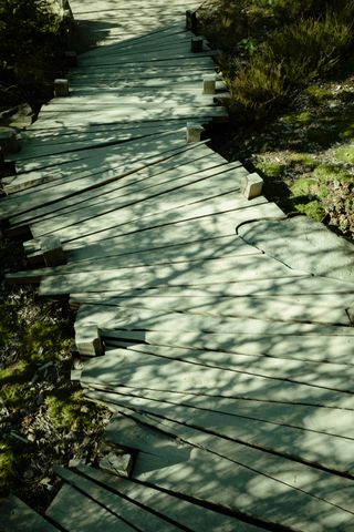 A well formed path made of wood plank