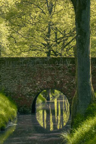 A stone bridge crossing over a water stream in a green forest