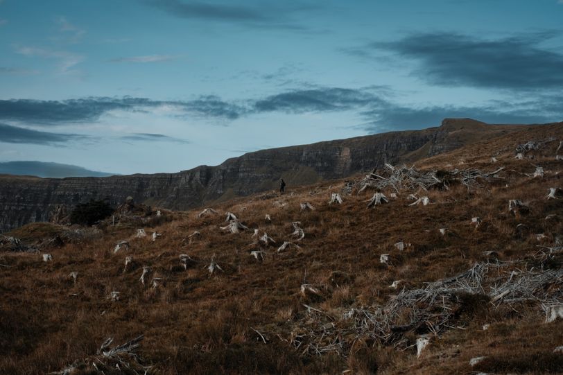 Landscape of a flat mountain with a man walking down a path going through remains of dead trees