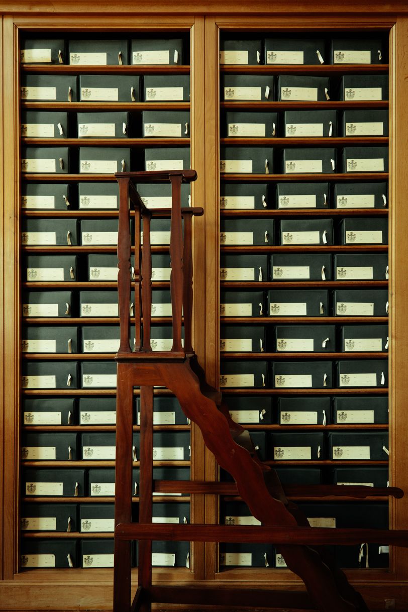 Shelf of archives and movable stairs in front of it