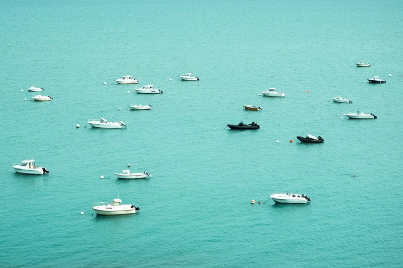 A bunch of boat parked at sea