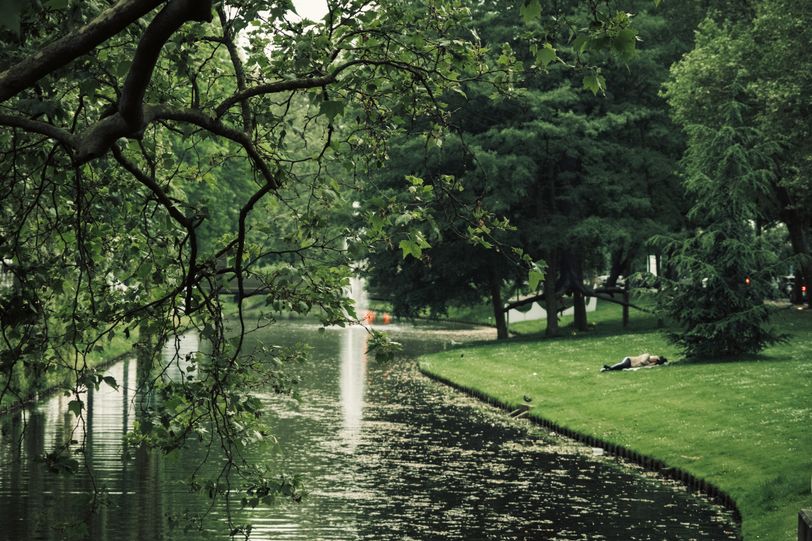 A person taking a nap on the green banks of a stream