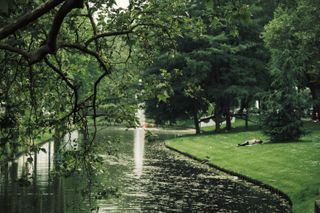 A person taking a nap on the green banks of a stream