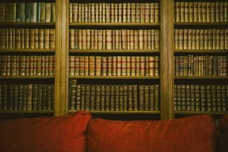 Filled library behind a couch