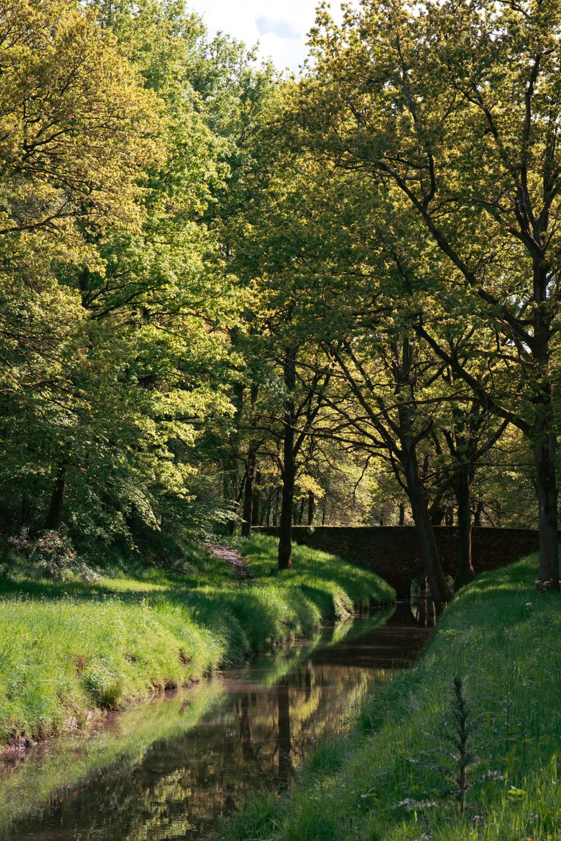 Stone bridge crossing a river in a forest