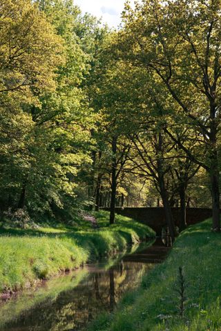 Stone bridge crossing a river in a forest