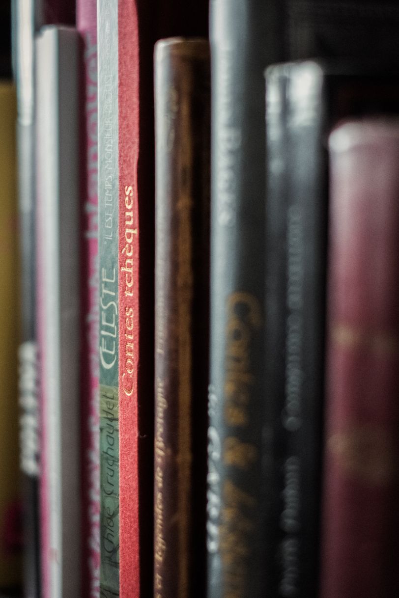 Close up on books in a bookcase