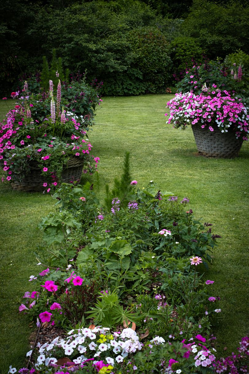 Baskets of beautiful flowers in a very neat and controlled garden