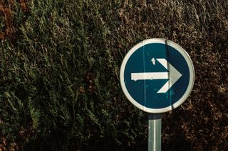 Bumped this way road sign in front of a decaying hedge