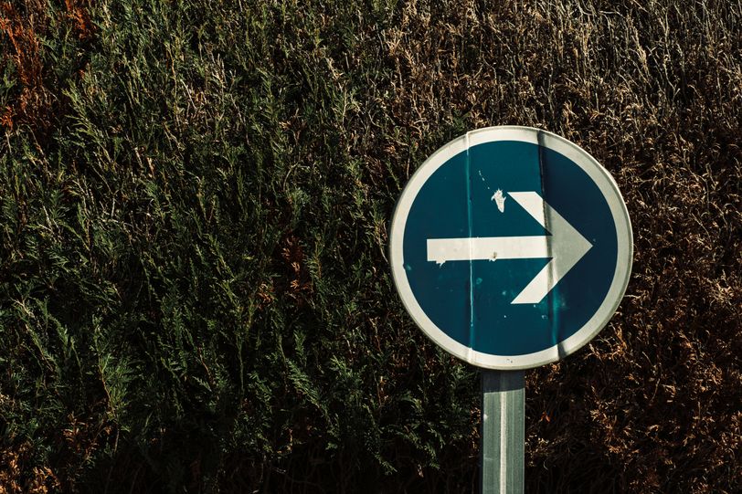 Bumped this way road sign in front of a decaying hedge