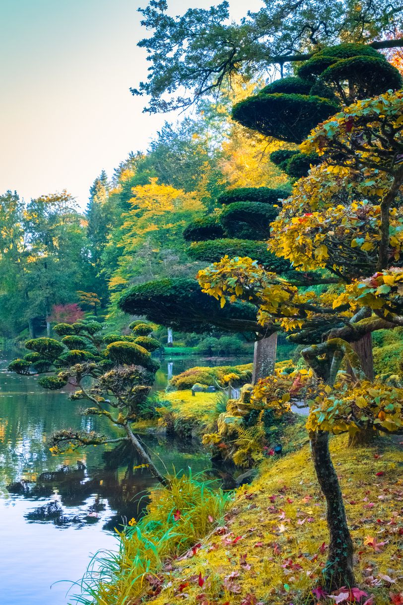 An asian garden with a pond during fall