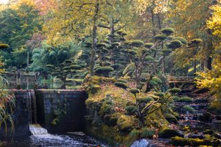 Water fall during fall in an asian garden