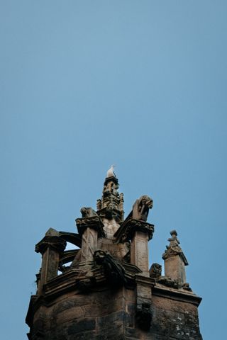 Bird on top of a religious building, just above gargoyles