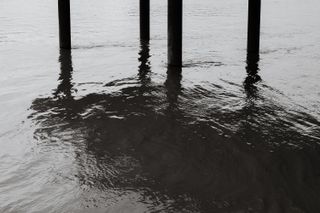 Foundation poles of a building over water