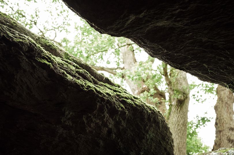 Gap between two mossy rocks