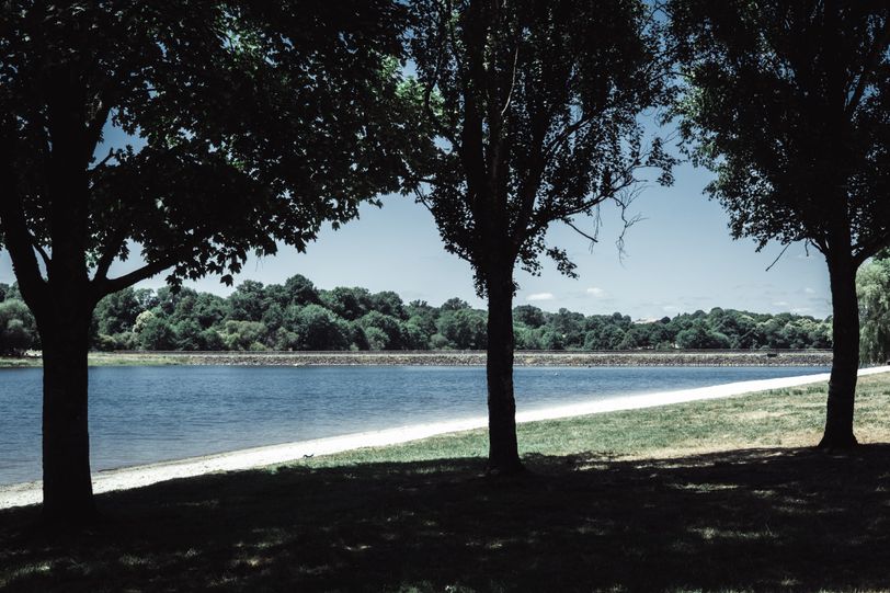 View on a lake from the shadows of trees