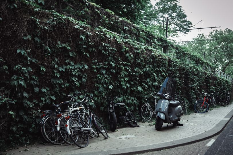 A wall covered in ivy with bicycles and scooters parked next to it