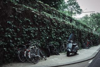 A wall covered in ivy with bicycles and scooters parked next to it