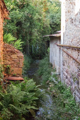 A cute stream running between houses