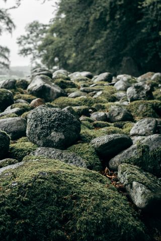 Close up on a cairn of mossy rocks