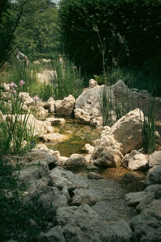 A little stream of water going through rocks and tall grass and in the background some people wandering