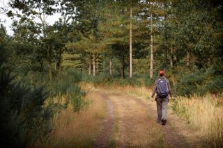 A woman walking on a footpath in a forest