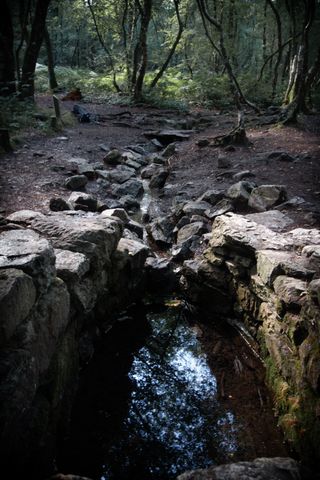 The natural fountain of Barenton