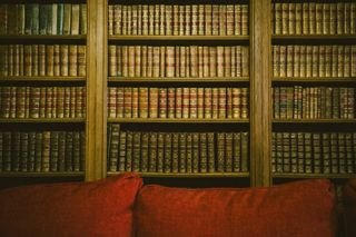 Filled library behind a couch