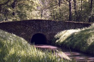 A bridge across a river running through some woods under the shadows of trees on a sunny day