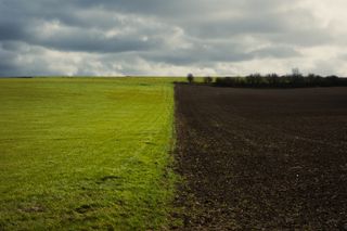 View on a land in two parts, one with grass and the other with just soil