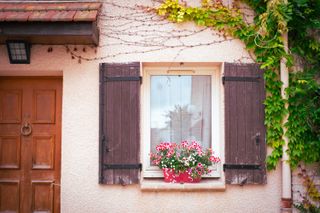 Front of a house with a blooming flower pot on the edge of a window and growing vine on the wall