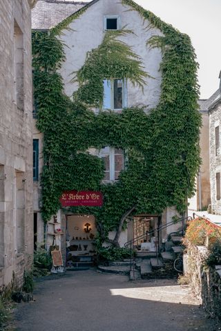 Old ivy covered house in a village with a shop on the first floor