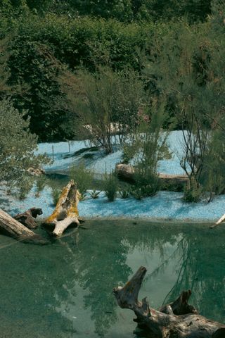 A garden with a pond where the soil is made of tiny blue rocks