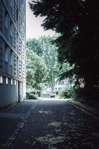 Some path in the shadow between a building and trees