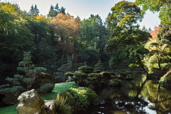 Picture of an asian garden in autumn at rising sun