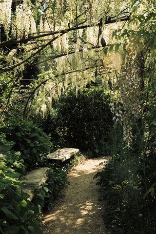 Stone benches surrounded and under flora