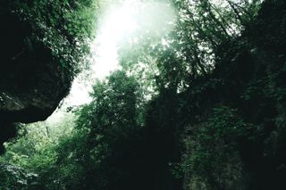 Nature taking over in the Gorges du Fier