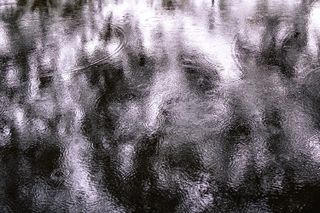 Surface of a pond under the rain