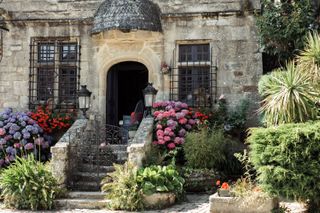 Entrance of a house with a lot of plants and flowers