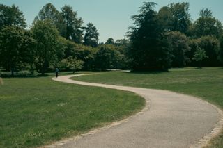 A winding path in a garden with someone walking on it