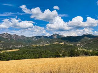 Different layers of colors with the blue sky, the green mountains and the yellow cereal field