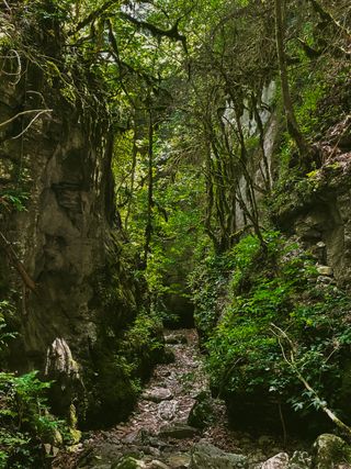 Path through a canyon