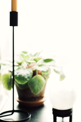 Bright still life picture of a crystal ball, a candlestick and a potted plant on a black furniture with a very bright white background