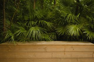Bench made of wood planks before a bamboo forest