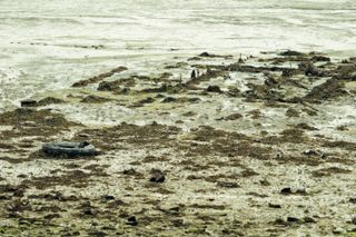 Lost tire on a beach after ebb tide
