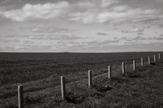 Black and white picture of a field limited by an alignment of small poles