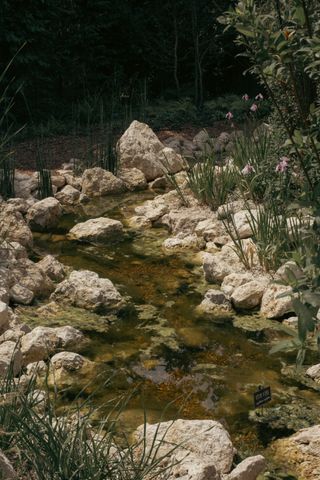 A water stream going through rocks